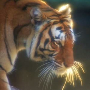 Meet your Posher, Scott